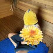 ヒメ日記 2025/05/14 16:15 投稿 天使 さくら（あまつか さくら） NOA（ノア）