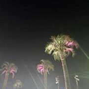 ヒメ日記 2025/08/11 19:06 投稿 るる AFTER V（アフターファイブ）