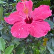 ヒメ日記 2025/08/16 17:04 投稿 るる AFTER V（アフターファイブ）