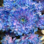 ヒメ日記 2025/09/25 18:52 投稿 るる AFTER V（アフターファイブ）