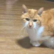 ヒメ日記 2025/10/24 17:44 投稿 るる AFTER V（アフターファイブ）