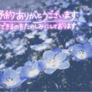 ヒメ日記 2025/06/13 13:19 投稿 皆川 鶯谷デッドボール