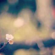 ヒメ日記 2025/07/24 10:49 投稿 皆川 鶯谷デッドボール