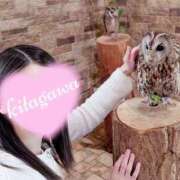 ヒメ日記 2025/05/27 18:05 投稿 北川 ミセスの手ほどき