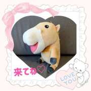 ヒメ日記 2025/07/15 14:41 投稿 北川 ミセスの手ほどき