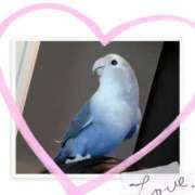 ヒメ日記 2025/07/24 20:23 投稿 北川 ミセスの手ほどき