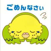 ヒメ日記 2025/09/10 11:40 投稿 北川 ミセスの手ほどき