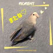 ヒメ日記 2025/11/05 11:44 投稿 北川 ミセスの手ほどき