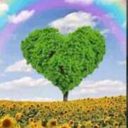 ヒメ日記 2025/05/02 17:24 投稿 きよか マダムバンク 富山本店