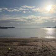 ヒメ日記 2025/11/22 09:04 投稿 まり 池袋おかあさん