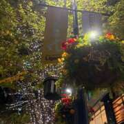 ヒメ日記 2025/11/24 13:54 投稿 まり 池袋おかあさん