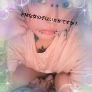 ヒメ日記 2025/06/10 08:57 投稿 らん ちゃんこ大阪十三