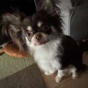 ヒメ日記 2025/06/15 10:07 投稿 らん ちゃんこ大阪十三