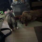 ヒメ日記 2025/06/29 01:49 投稿 らん ちゃんこ大阪十三