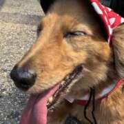 ヒメ日記 2025/06/29 23:46 投稿 らん ちゃんこ大阪十三