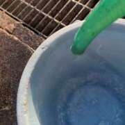 ヒメ日記 2025/12/28 07:50 投稿 いずみ【プレミアキャスト】 人妻の雫　福山店