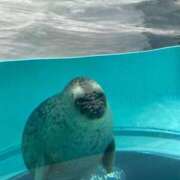 ヒメ日記 2025/06/01 19:39 投稿 ぷりん ピンクコレクション大阪