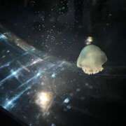 ヒメ日記 2025/07/03 05:11 投稿 ぷりん ピンクコレクション大阪