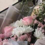 ヒメ日記 2025/12/18 03:32 投稿 ぷりん ピンクコレクション大阪