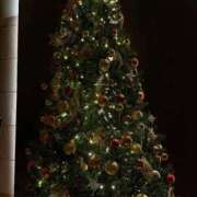 ヒメ日記 2025/12/20 03:31 投稿 ぷりん ピンクコレクション大阪