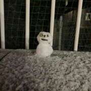 ヒメ日記 2026/02/16 19:53 投稿 ぷりん ピンクコレクション大阪