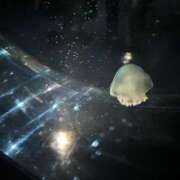 ヒメ日記 2025/07/03 05:12 投稿 ぷりん ピンクコレクション尼崎店