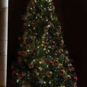 ヒメ日記 2025/12/20 03:39 投稿 ぷりん ピンクコレクション尼崎店