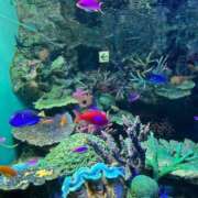 ヒメ日記 2025/05/10 20:13 投稿 ぷりん ピンクコレクション大阪キタ店