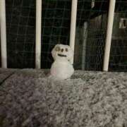 ヒメ日記 2026/02/16 19:51 投稿 ぷりん ピンクコレクション大阪キタ店