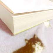 ヒメ日記 2025/06/02 11:33 投稿 はるか いわき小名浜ちゃんこ