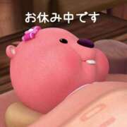 ヒメ日記 2025/06/12 17:23 投稿 はるか いわき小名浜ちゃんこ