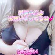 ヒメ日記 2025/06/24 15:23 投稿 はるか いわき小名浜ちゃんこ