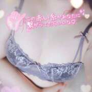 ヒメ日記 2025/07/15 14:23 投稿 はるか いわき小名浜ちゃんこ