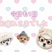 ヒメ日記 2025/07/17 21:23 投稿 はるか いわき小名浜ちゃんこ