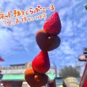 ヒメ日記 2025/07/31 10:23 投稿 はるか いわき小名浜ちゃんこ