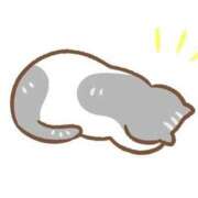 ヒメ日記 2025/08/01 11:33 投稿 はるか いわき小名浜ちゃんこ