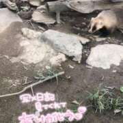 ヒメ日記 2025/08/20 18:43 投稿 はるか いわき小名浜ちゃんこ