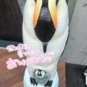 ヒメ日記 2025/08/23 04:03 投稿 はるか いわき小名浜ちゃんこ