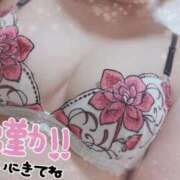 ヒメ日記 2025/09/13 15:23 投稿 はるか いわき小名浜ちゃんこ