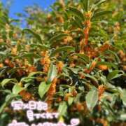 ヒメ日記 2025/10/23 18:23 投稿 はるか いわき小名浜ちゃんこ