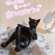 ヒメ日記 2025/11/01 01:45 投稿 はるか いわき小名浜ちゃんこ