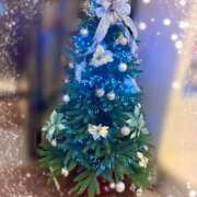 ヒメ日記 2025/11/21 02:33 投稿 はるか いわき小名浜ちゃんこ