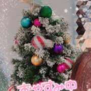 ヒメ日記 2025/11/24 11:53 投稿 はるか いわき小名浜ちゃんこ