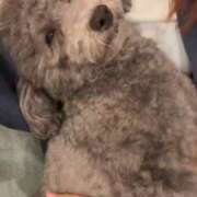 ヒメ日記 2026/01/13 19:03 投稿 はるか いわき小名浜ちゃんこ