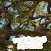 ヒメ日記 2026/01/27 21:53 投稿 はるか いわき小名浜ちゃんこ