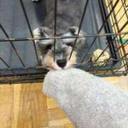 ヒメ日記 2026/01/29 12:23 投稿 はるか いわき小名浜ちゃんこ