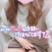 ヒメ日記 2026/01/30 18:53 投稿 はるか いわき小名浜ちゃんこ