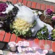 ヒメ日記 2026/02/10 20:53 投稿 はるか いわき小名浜ちゃんこ