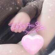 ヒメ日記 2026/02/14 23:23 投稿 はるか いわき小名浜ちゃんこ