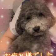 ヒメ日記 2026/02/24 17:43 投稿 はるか いわき小名浜ちゃんこ